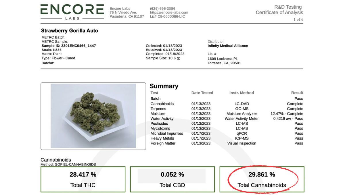 Lab test of Strawberry Gorilla Auto. 29.891% total cannabinoids.