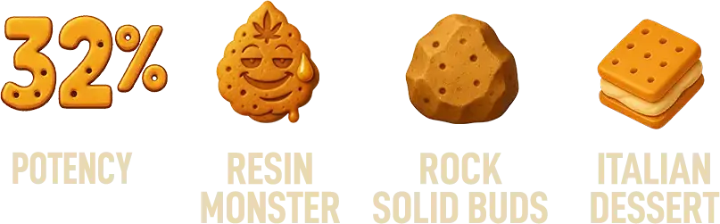 Tech of New Strain Biscotti Gelato