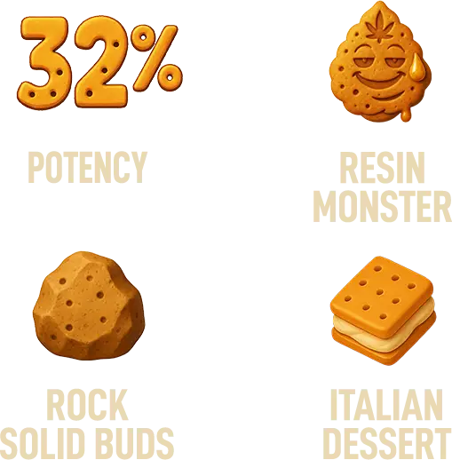 Tech of New Strain Biscotti Gelato