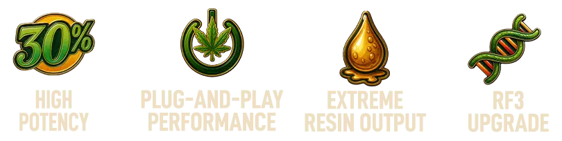 Tech of New Strain Cherry Cola Auto RF3