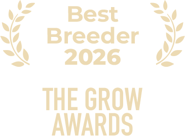 Special promo - Award Best Breeder 2026