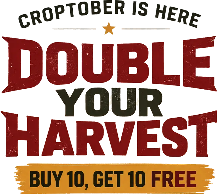 FastBuds Promo
