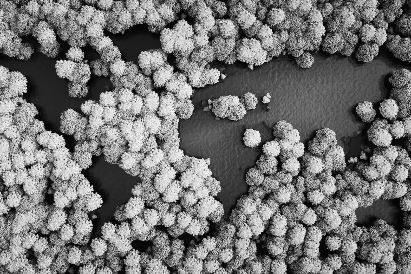 Cover Article Rolling Stone