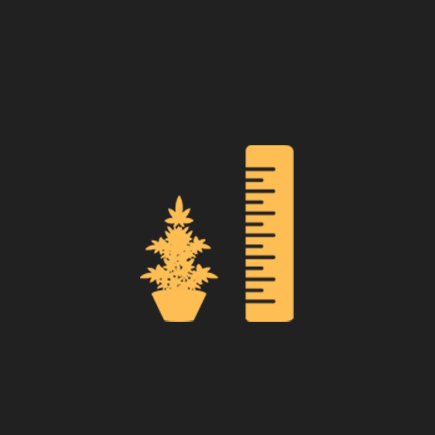 Average