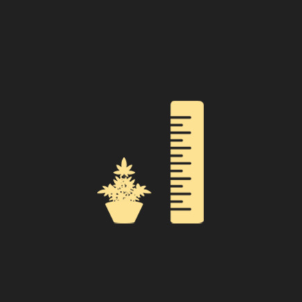 Compact