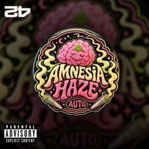 Amnesia Haze Auto