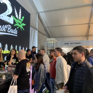 Spannabis 2019