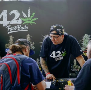 THC Expo