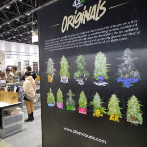 Asia International Hemp Expo & Forum 2023