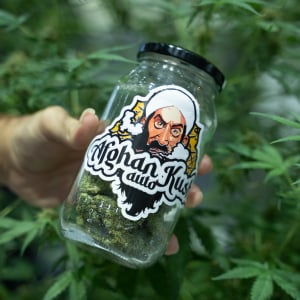 Asia International Hemp Expo & Forum 2023