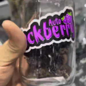 Asia International Hemp Expo & Forum 2023