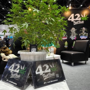 Asia International Hemp Expo & Forum 2023