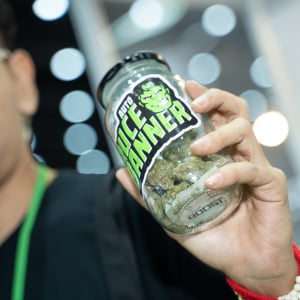 Asia International Hemp Expo & Forum 2023