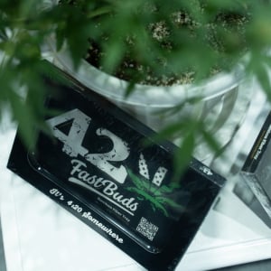 Asia International Hemp Expo & Forum 2023