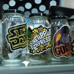 Asia International Hemp Expo & Forum 2023