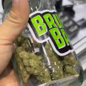 Asia International Hemp Expo & Forum 2023