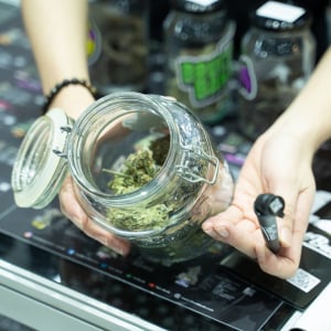 Asia International Hemp Expo & Forum 2023