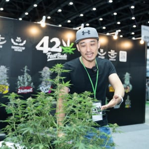 Asia International Hemp Expo & Forum 2023