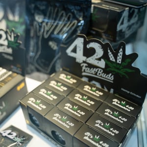 Asia International Hemp Expo & Forum 2023