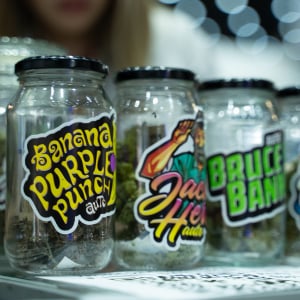 Asia International Hemp Expo & Forum 2023