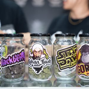 Asia International Hemp Expo & Forum 2023