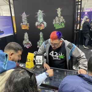 Expo Weed Chile 2023