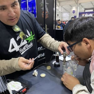 Expo Weed Chile 2023