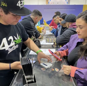 Expo Weed Chile 2023