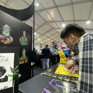 Expo Weed Chile 2023