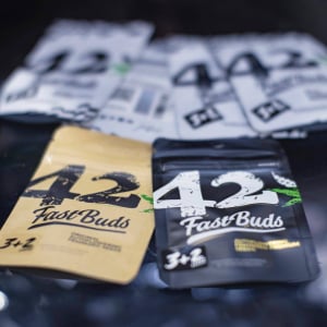 Expo Weed Chile 2023