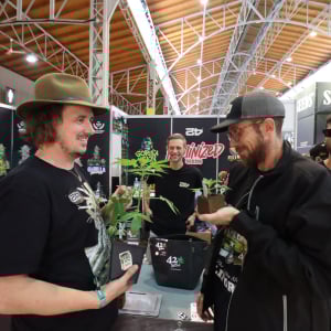 Cultiva Hanfexpo
