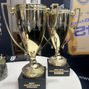 Autoflower World Cup 2025