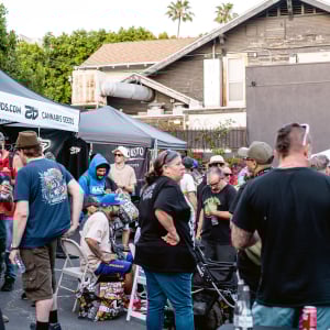 American Autoflower Cup 2025