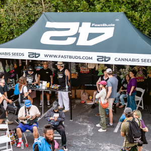 American Autoflower Cup 2025