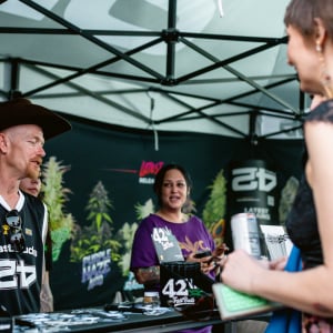 American Autoflower Cup 2025