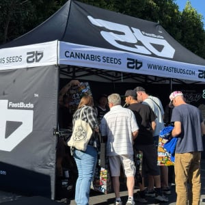 American Autoflower Cup 2025