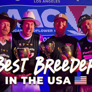 American Autoflower Cup 2025