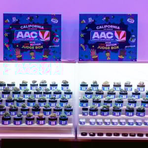 American Autoflower Cup 2025