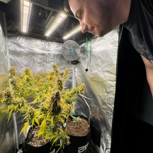 Mary Jane Berlin 2025