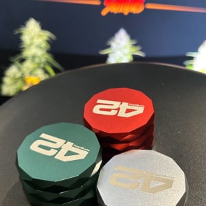 Mary Jane Berlin 2025