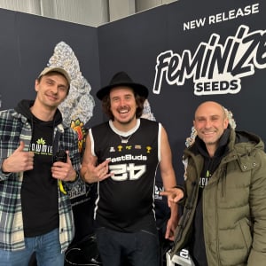 Cannafest Prague