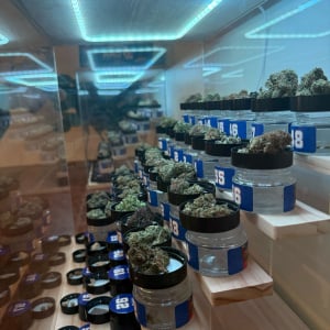 American Autoflower Cup 2026