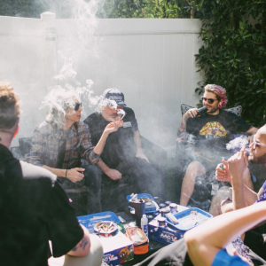 American Autoflower Cup 2026