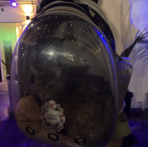 American Autoflower Cup 2026