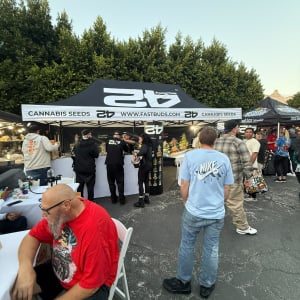 American Autoflower Cup 2026