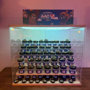 American Autoflower Cup 2026