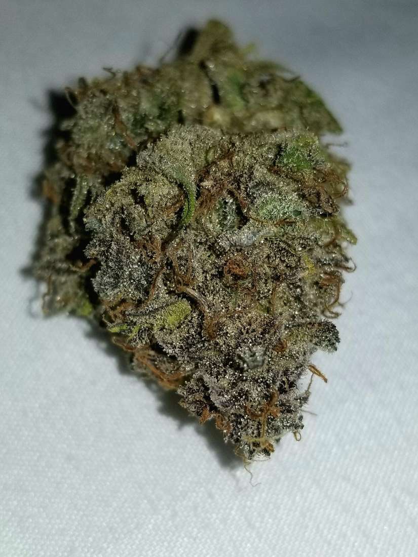 Media Sources Cream Cookies Auto for Social Media Fast Buds