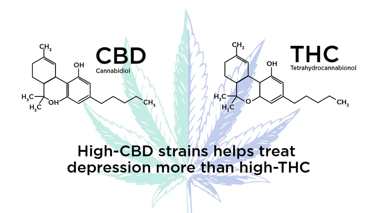 Can Cannabis Treat Depression?: CBD and THC