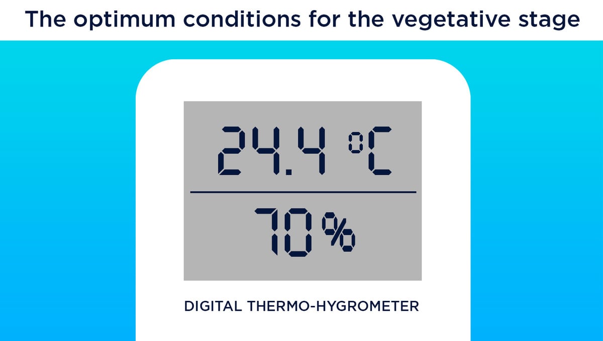 5 Top Tips On Controlling Humidity During The Growing Period: Optimal Conditions for Vegetative Stage