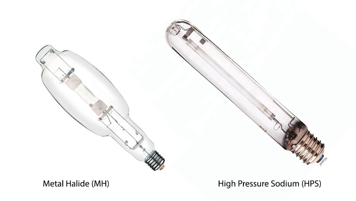 Indoor lights for Cannabis grow: MH vs HPS bulbs